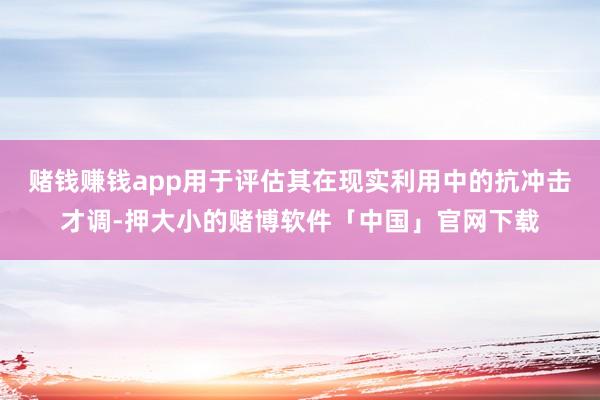 赌钱赚钱app用于评估其在现实利用中的抗冲击才调-押大小的赌博软件「中国」官网下载