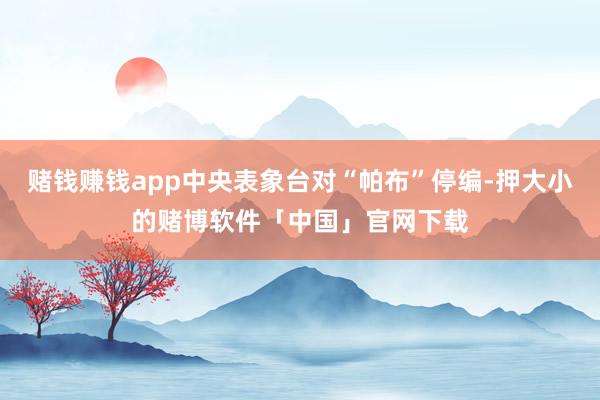 赌钱赚钱app中央表象台对“帕布”停编-押大小的赌博软件「中国」官网下载