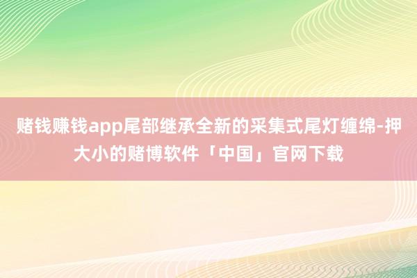 赌钱赚钱app尾部继承全新的采集式尾灯缠绵-押大小的赌博软件「中国」官网下载