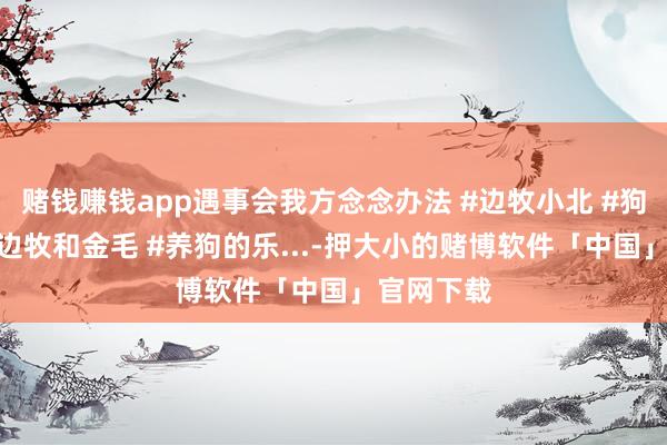 赌钱赚钱app遇事会我方念念办法 #边牧小北 #狗成精了 #边牧和金毛 #养狗的乐...-押大小的赌博软件「中国」官网下载