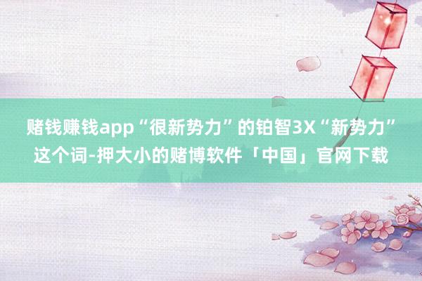 赌钱赚钱app“很新势力”的铂智3X“新势力”这个词-押大小的赌博软件「中国」官网下载