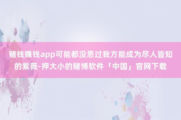 赌钱赚钱app可能都没思过我方能成为尽人皆知的紫薇-押大小的赌博软件「中国」官网下载