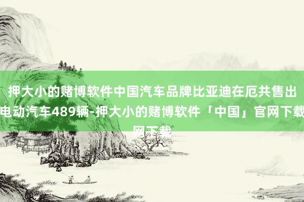 押大小的赌博软件中国汽车品牌比亚迪在厄共售出电动汽车489辆-押大小的赌博软件「中国」官网下载