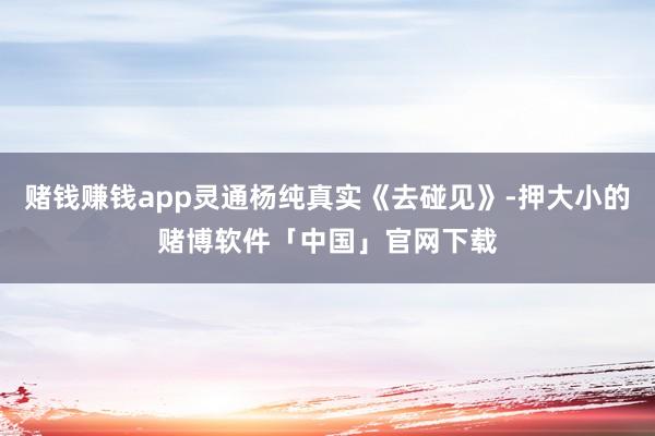 赌钱赚钱app灵通杨纯真实《去碰见》-押大小的赌博软件「中国」官网下载