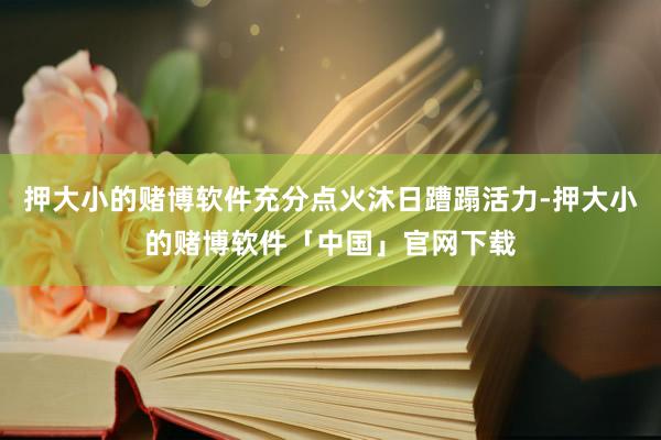 押大小的赌博软件充分点火沐日蹧蹋活力-押大小的赌博软件「中国」官网下载
