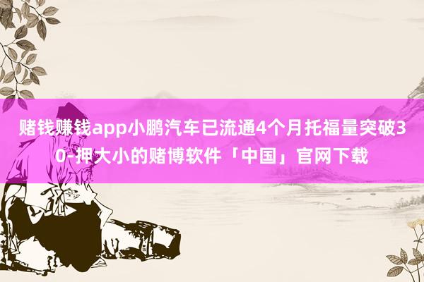 赌钱赚钱app小鹏汽车已流通4个月托福量突破30-押大小的赌博软件「中国」官网下载