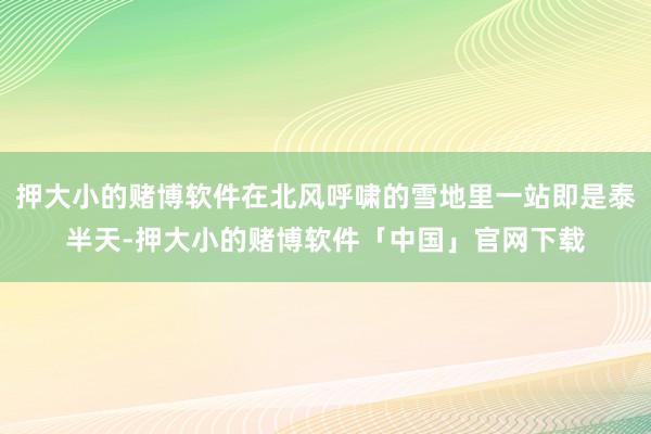 押大小的赌博软件在北风呼啸的雪地里一站即是泰半天-押大小的赌博软件「中国」官网下载