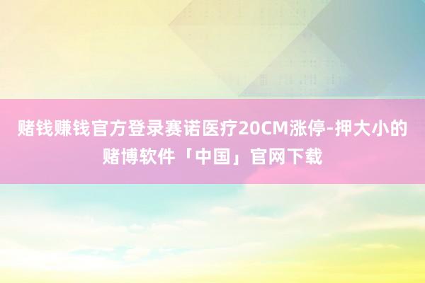 赌钱赚钱官方登录赛诺医疗20CM涨停-押大小的赌博软件「中国」官网下载