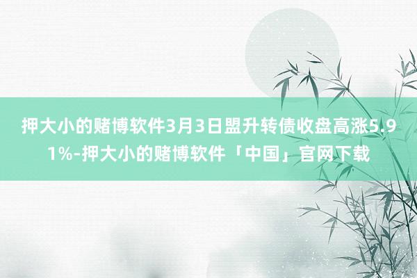 押大小的赌博软件3月3日盟升转债收盘高涨5.91%-押大小的赌博软件「中国」官网下载
