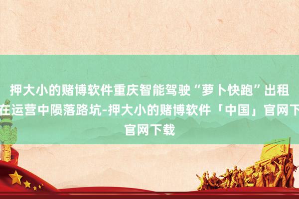 押大小的赌博软件重庆智能驾驶“萝卜快跑”出租车在运营中陨落路坑-押大小的赌博软件「中国」官网下载