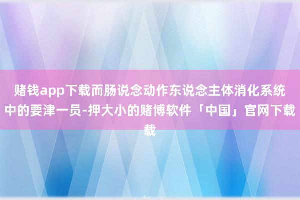 赌钱app下载而肠说念动作东说念主体消化系统中的要津一员-押大小的赌博软件「中国」官网下载