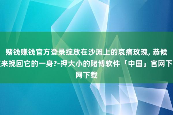 赌钱赚钱官方登录绽放在沙滩上的哀痛玫瑰, 恭候谁来挽回它的一身?-押大小的赌博软件「中国」官网下载