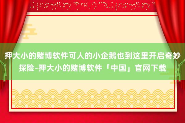 押大小的赌博软件可人的小企鹅也到这里开启奇妙探险-押大小的赌博软件「中国」官网下载