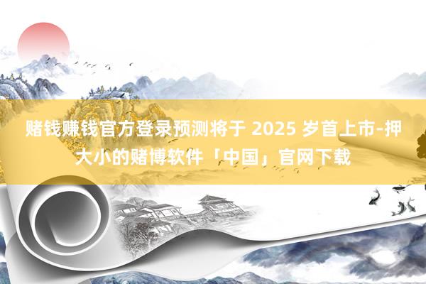 赌钱赚钱官方登录预测将于 2025 岁首上市-押大小的赌博软件「中国」官网下载
