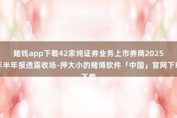 赌钱app下载42家纯证券业务上市券商2025年半年报透露收场-押大小的赌博软件「中国」官网下载