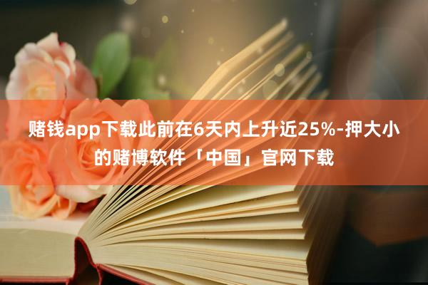 赌钱app下载此前在6天内上升近25%-押大小的赌博软件「中国」官网下载