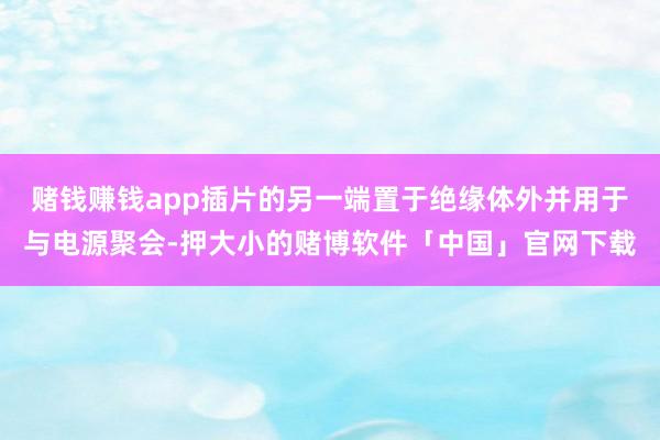 赌钱赚钱app插片的另一端置于绝缘体外并用于与电源聚会-押大小的赌博软件「中国」官网下载