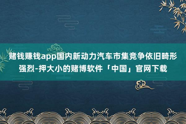 赌钱赚钱app国内新动力汽车市集竞争依旧畸形强烈-押大小的赌博软件「中国」官网下载