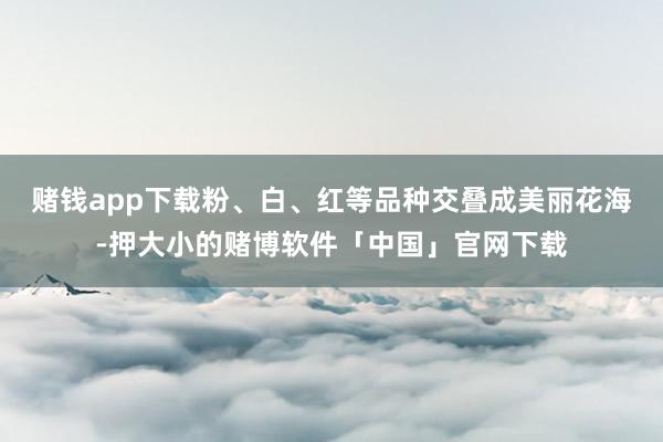赌钱app下载粉、白、红等品种交叠成美丽花海-押大小的赌博软件「中国」官网下载