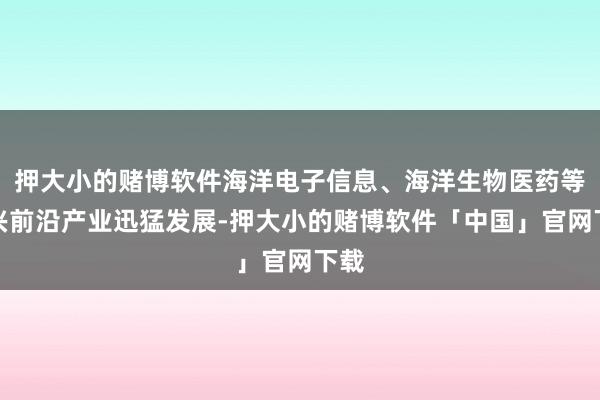 押大小的赌博软件海洋电子信息、海洋生物医药等新兴前沿产业迅猛发展-押大小的赌博软件「中国」官网下载