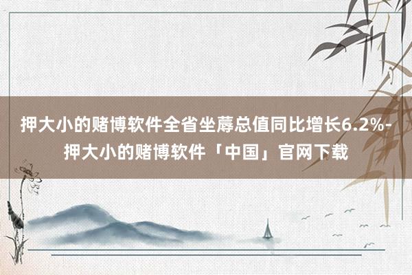 押大小的赌博软件全省坐蓐总值同比增长6.2%-押大小的赌博软件「中国」官网下载