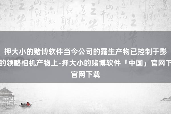 押大小的赌博软件当今公司的露生产物已控制于影石的领略相机产物上-押大小的赌博软件「中国」官网下载
