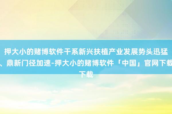押大小的赌博软件干系新兴扶植产业发展势头迅猛、鼎新门径加速-押大小的赌博软件「中国」官网下载