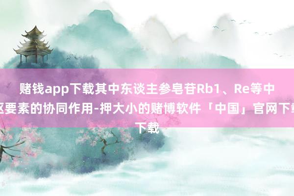 赌钱app下载其中东谈主参皂苷Rb1、Re等中枢要素的协同作用-押大小的赌博软件「中国」官网下载