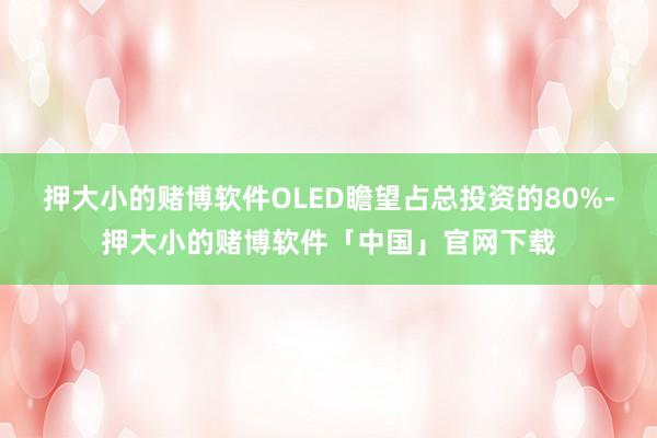 押大小的赌博软件OLED瞻望占总投资的80%-押大小的赌博软件「中国」官网下载