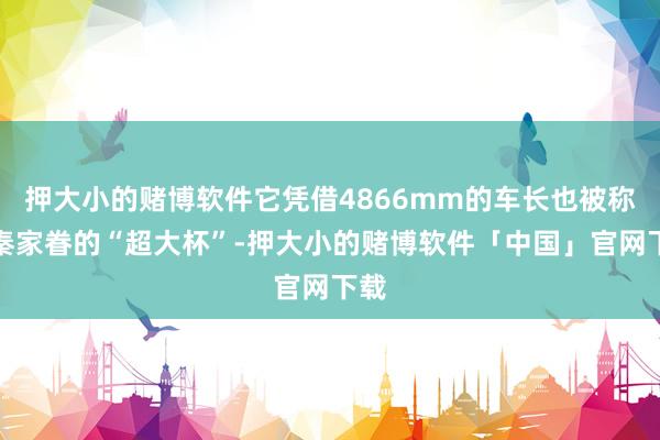 押大小的赌博软件它凭借4866mm的车长也被称为秦家眷的“超大杯”-押大小的赌博软件「中国」官网下载