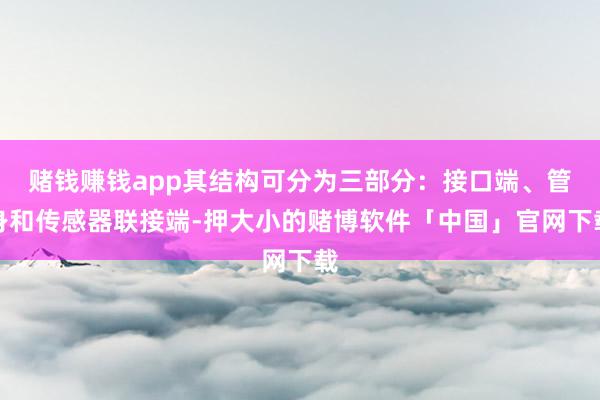 赌钱赚钱app其结构可分为三部分：接口端、管身和传感器联接端-押大小的赌博软件「中国」官网下载