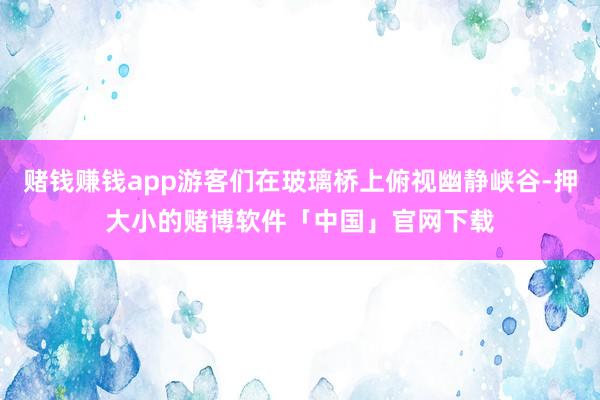 赌钱赚钱app游客们在玻璃桥上俯视幽静峡谷-押大小的赌博软件「中国」官网下载
